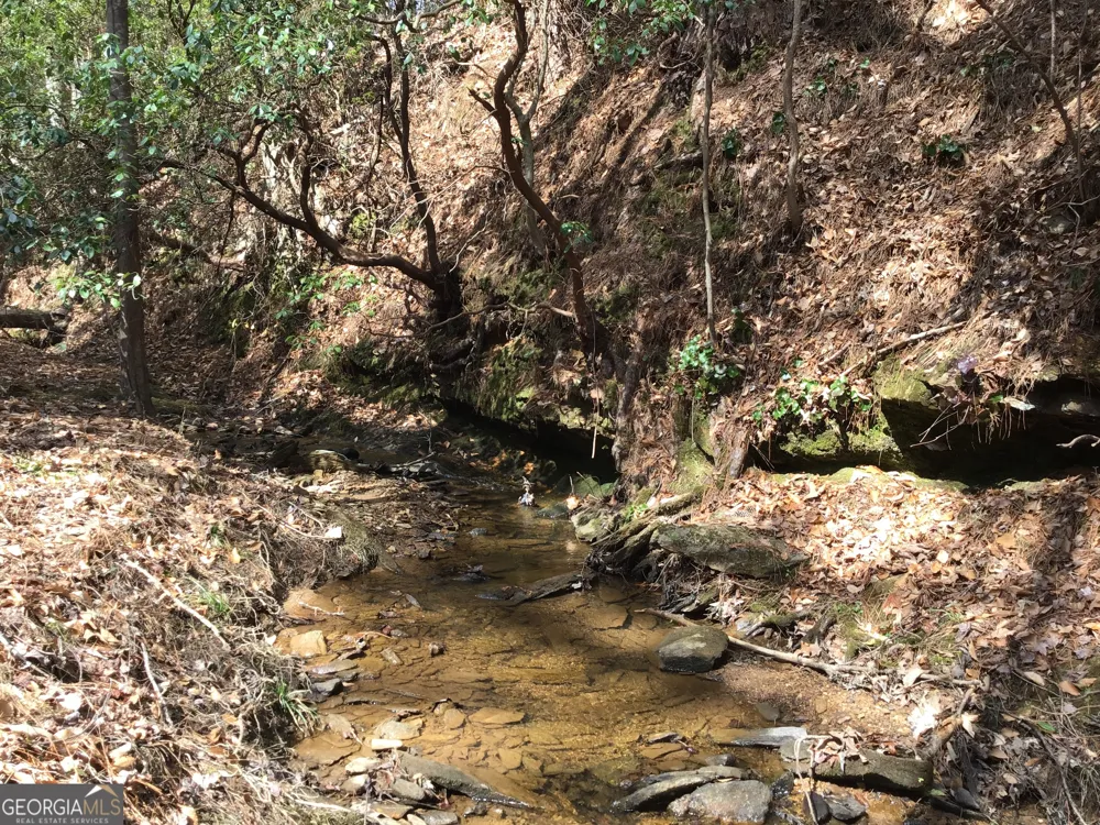 0 Johnson Mountain RD Rydal, GA 30171