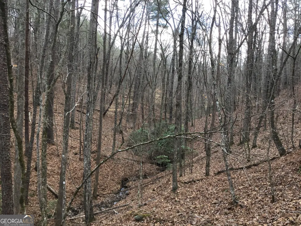 0 Johnson Mountain RD Rydal, GA 30171