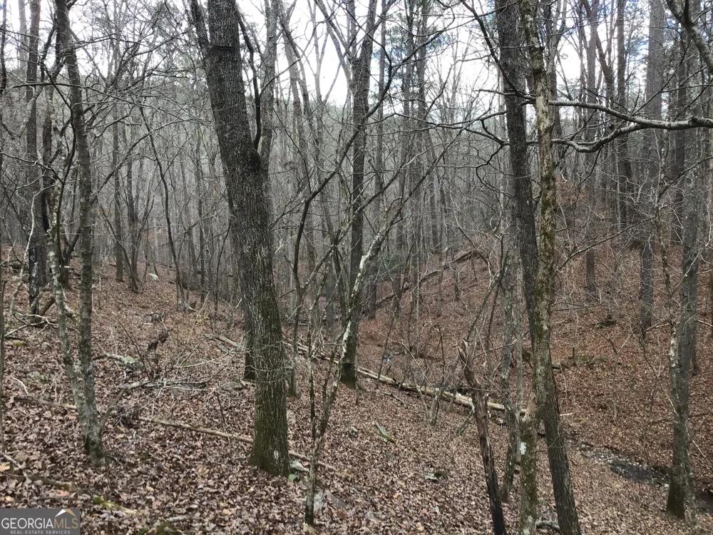 0 Johnson Mountain RD Rydal, GA 30171