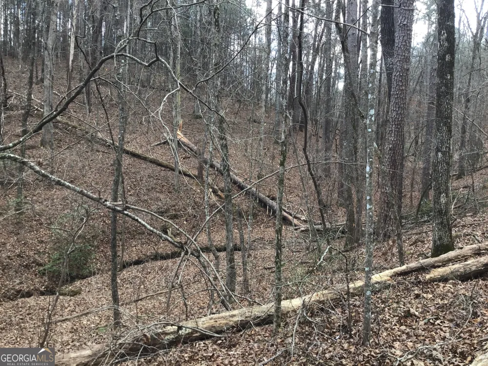 0 Johnson Mountain RD Rydal, GA 30171