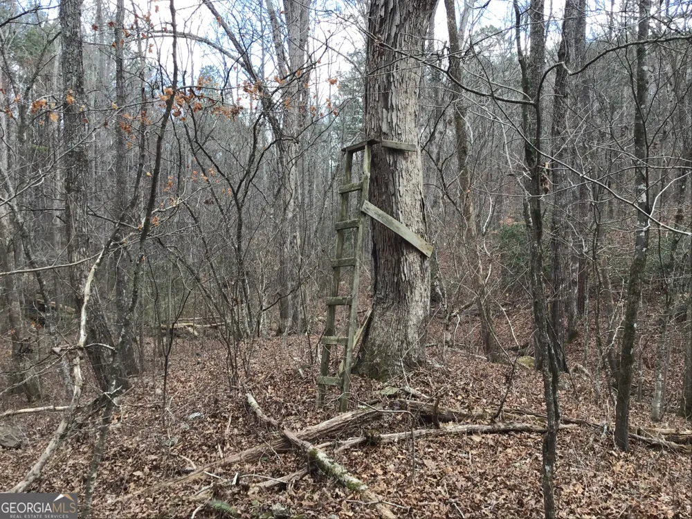 0 Johnson Mountain RD Rydal, GA 30171