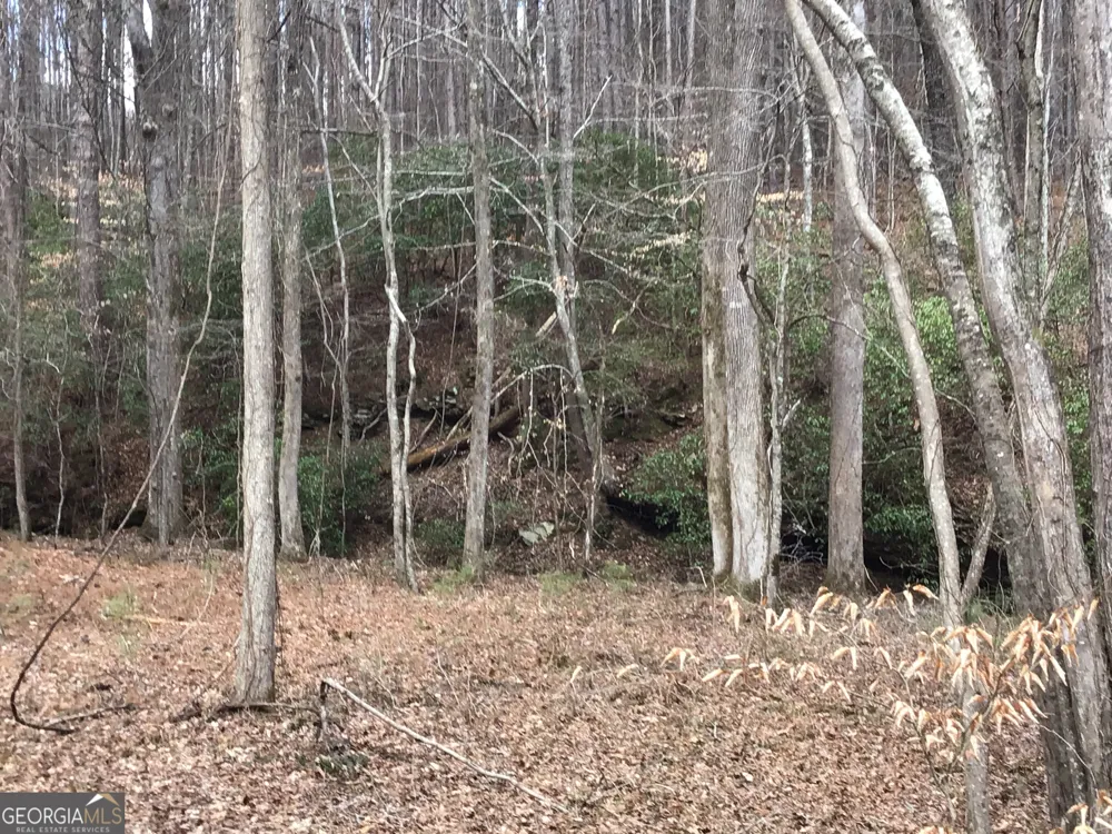 0 Johnson Mountain RD Rydal, GA 30171