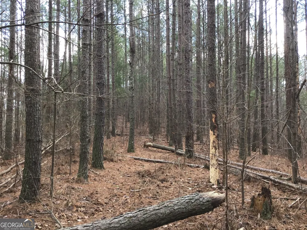 0 Johnson Mountain RD Rydal, GA 30171
