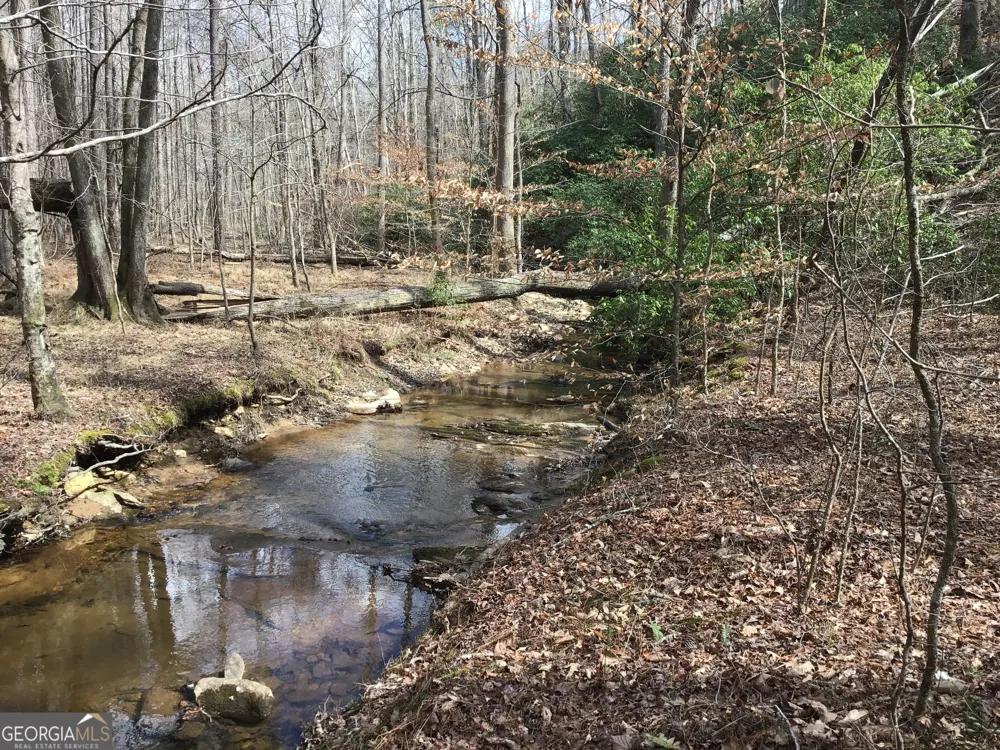 0 Johnson Mountain RD Rydal, GA 30171