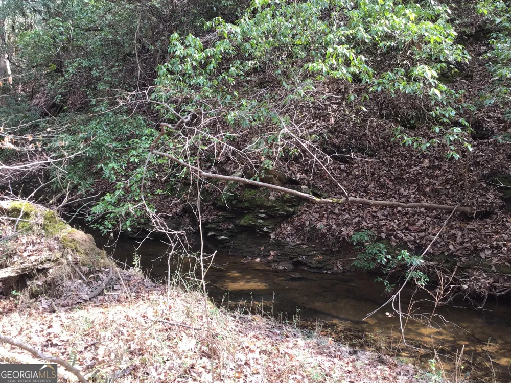 0 Johnson Mountain RD Rydal, GA 30171