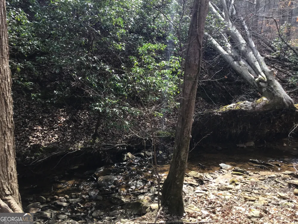 0 Johnson Mountain RD Rydal, GA 30171