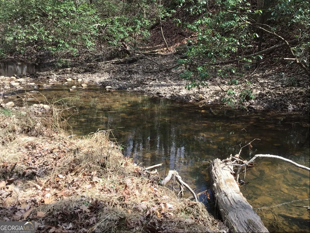 0 Johnson Mountain RD Rydal, GA 30171