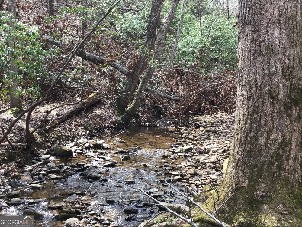 0 Johnson Mountain RD Rydal, GA 30171