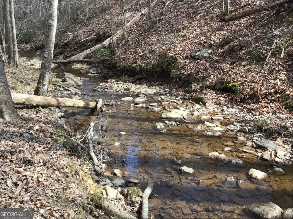 0 Johnson Mountain RD Rydal, GA 30171