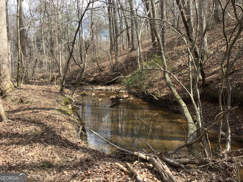 0 Johnson Mountain RD Rydal, GA 30171