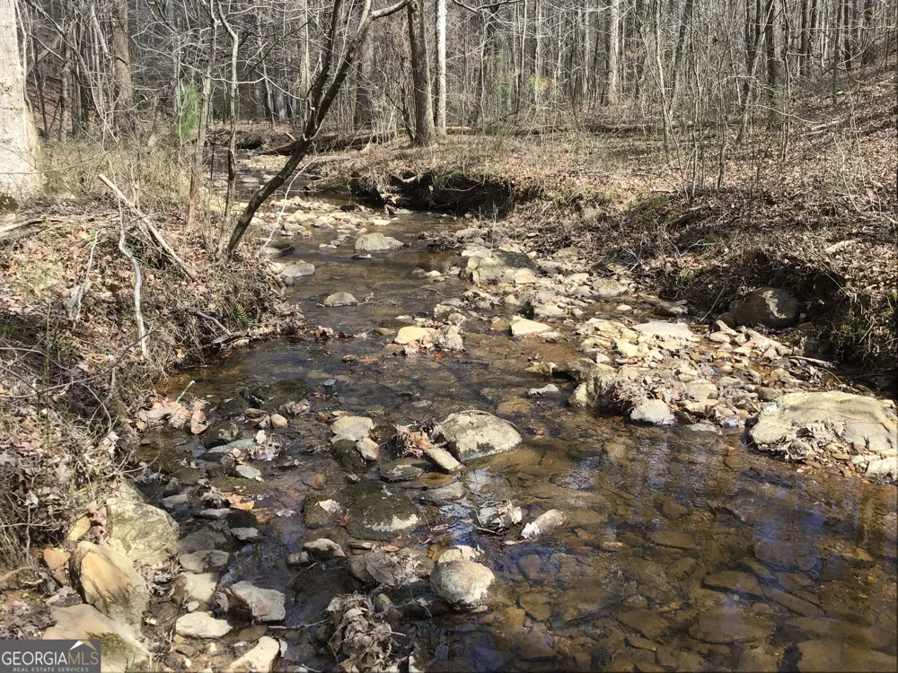 0 Johnson Mountain RD Rydal, GA 30171