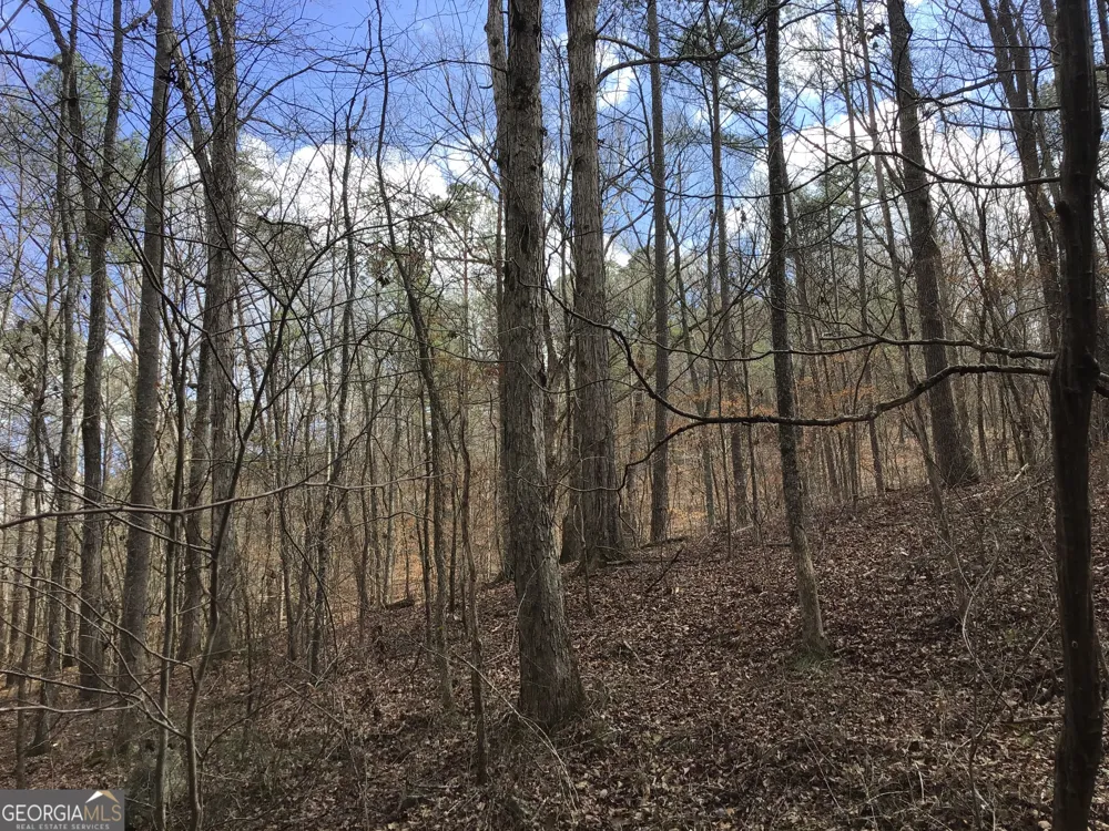 0 Johnson Mountain RD Rydal, GA 30171