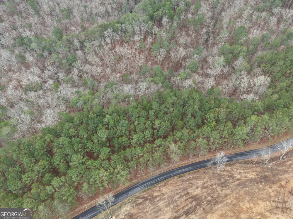 0 Johnson Mountain RD Rydal, GA 30171