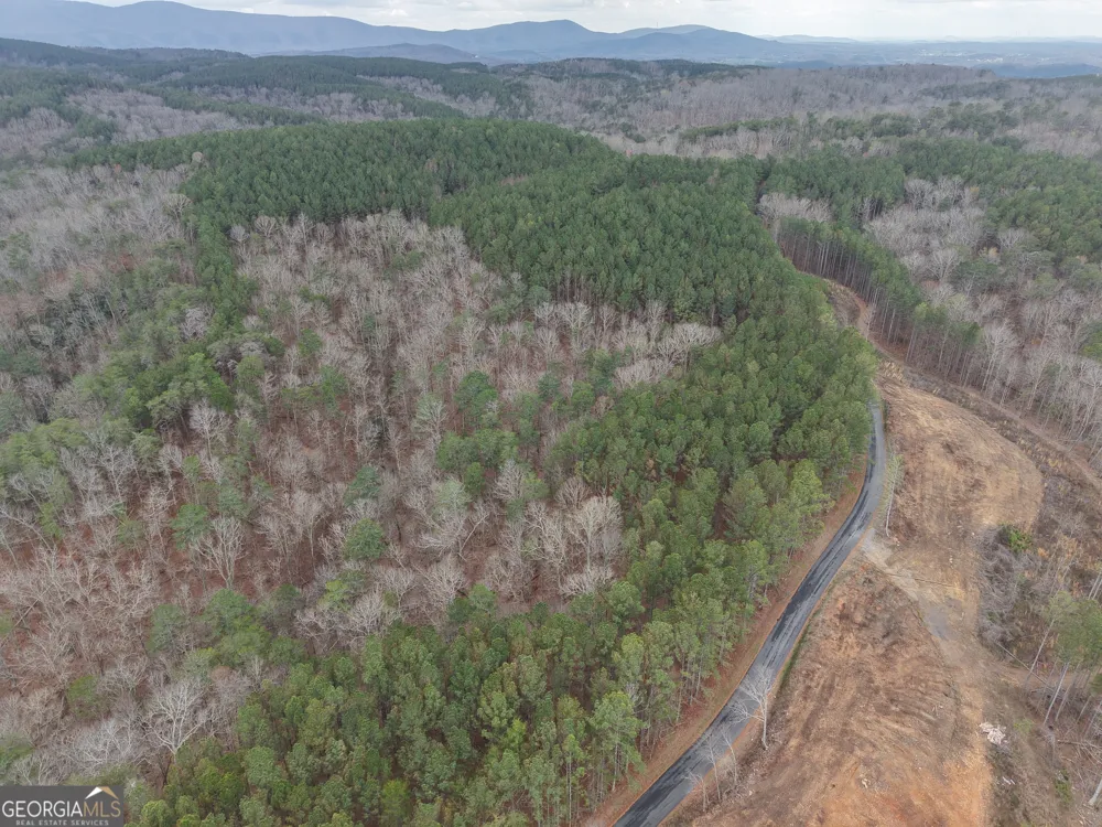 0 Johnson Mountain RD Rydal, GA 30171