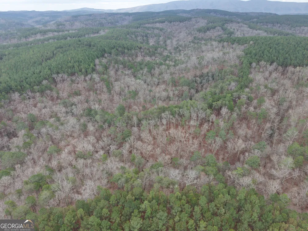 0 Johnson Mountain RD Rydal, GA 30171