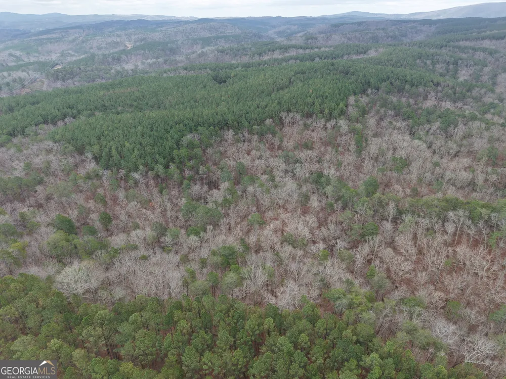 0 Johnson Mountain RD Rydal, GA 30171