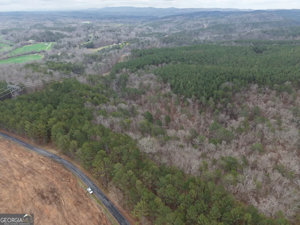 0 Johnson Mountain RD Rydal, GA 30171