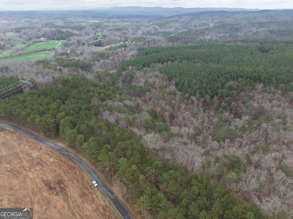 0 Johnson Mountain RD Rydal, GA 30171
