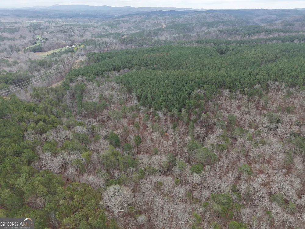 0 Johnson Mountain RD Rydal, GA 30171