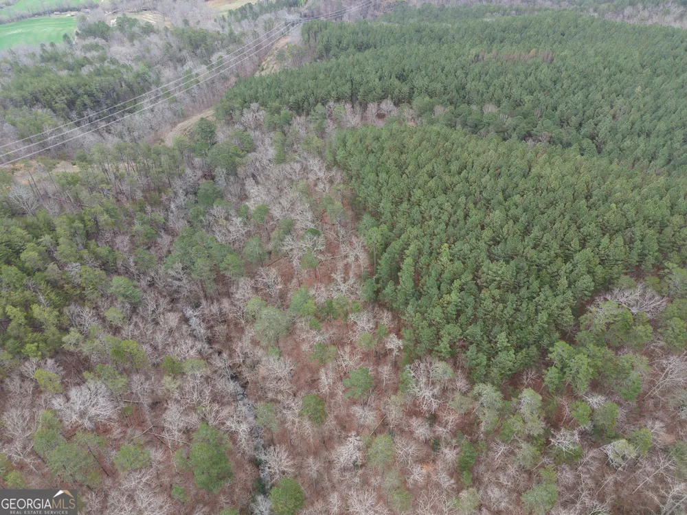 0 Johnson Mountain RD Rydal, GA 30171