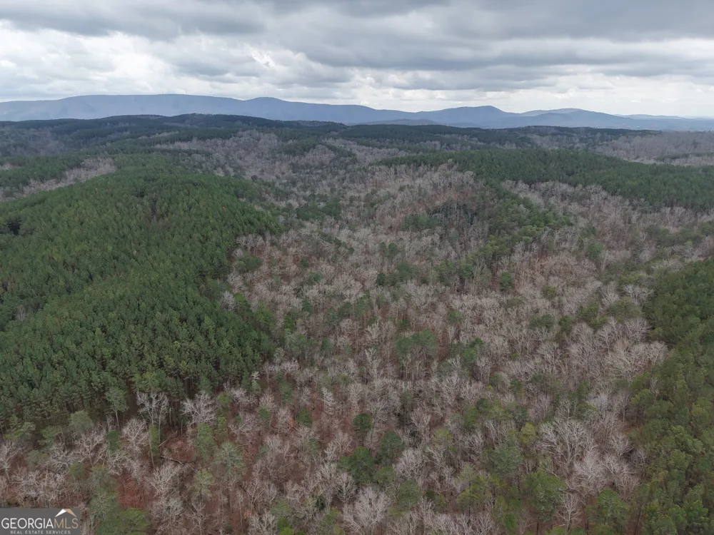 0 Johnson Mountain RD Rydal, GA 30171