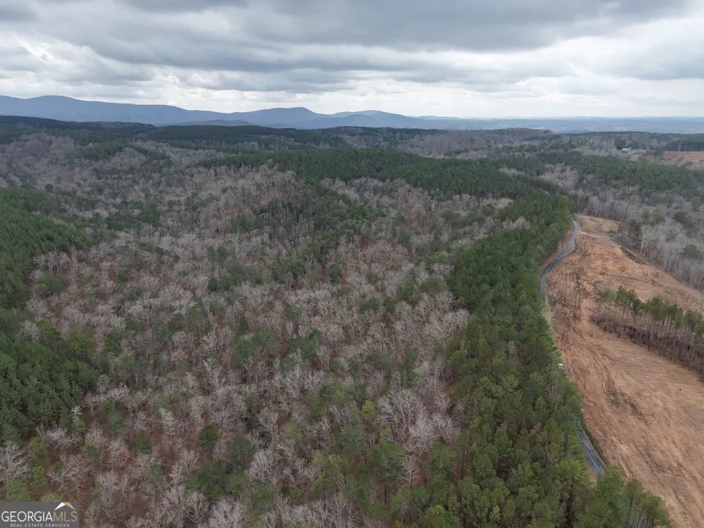 0 Johnson Mountain RD Rydal, GA 30171