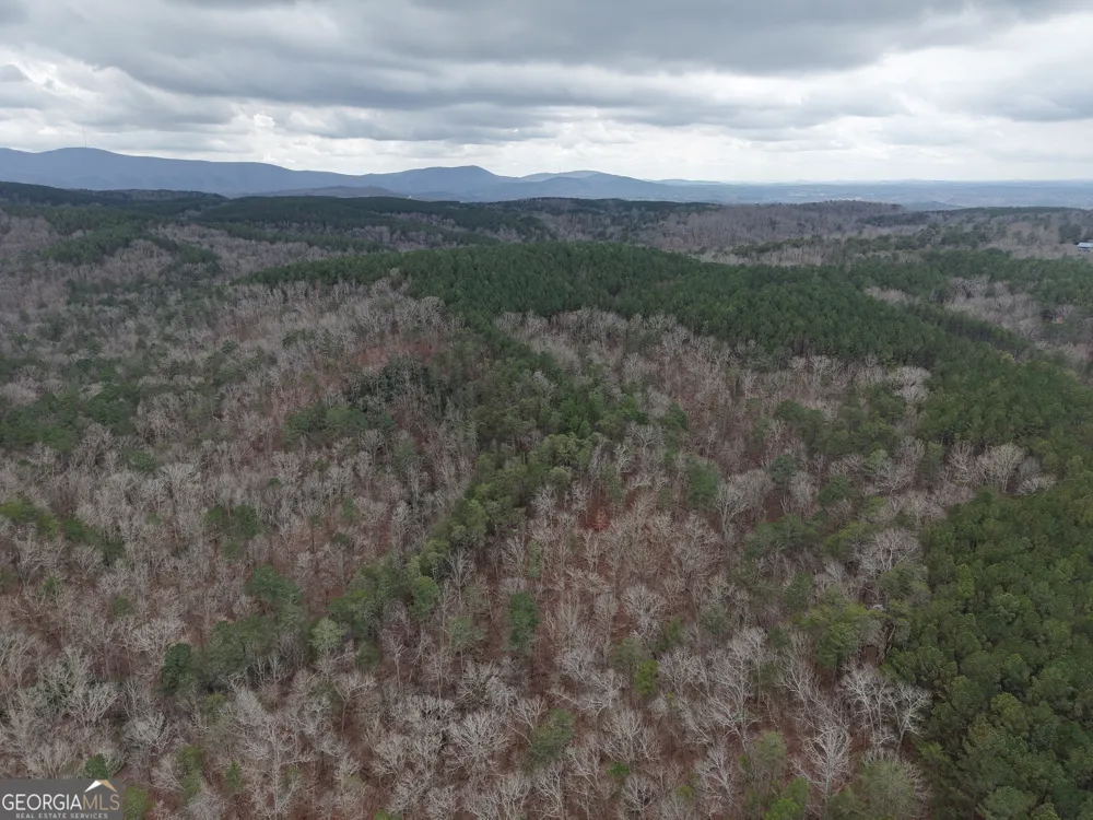 0 Johnson Mountain RD Rydal, GA 30171