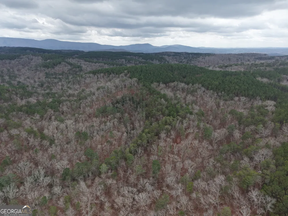 0 Johnson Mountain RD Rydal, GA 30171
