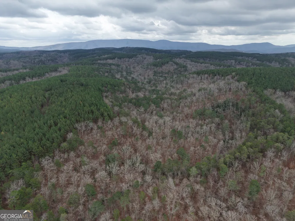 0 Johnson Mountain RD Rydal, GA 30171