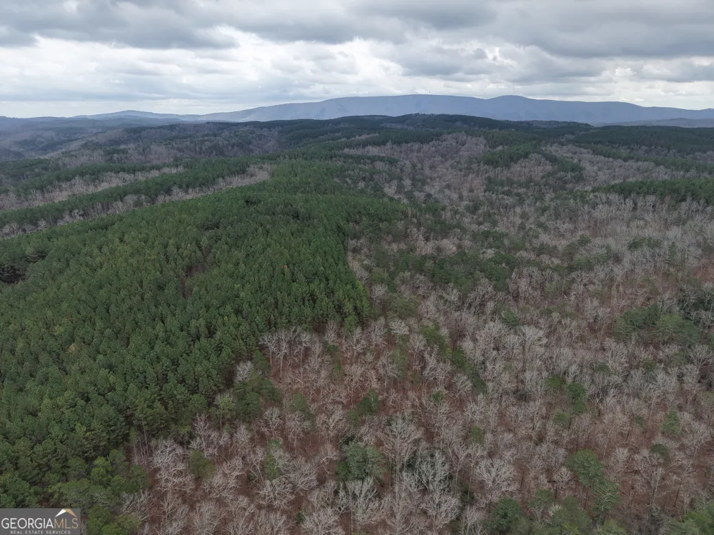 0 Johnson Mountain RD Rydal, GA 30171