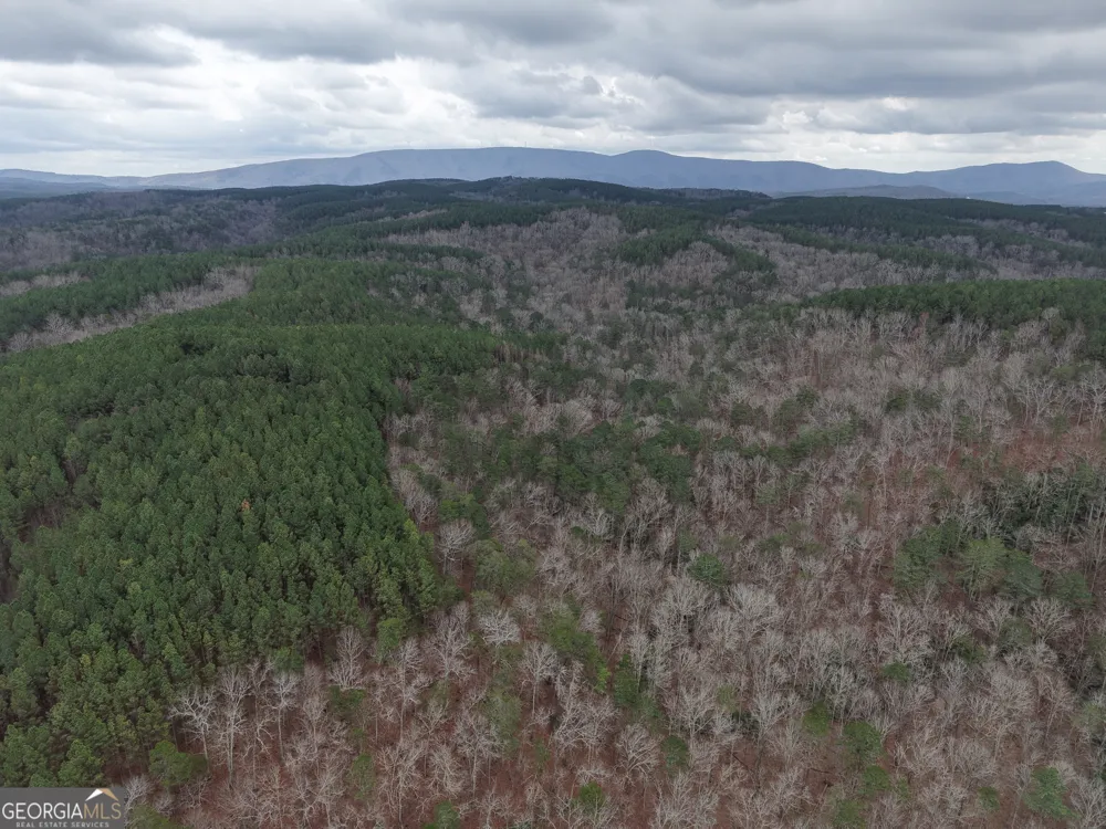 0 Johnson Mountain RD Rydal, GA 30171
