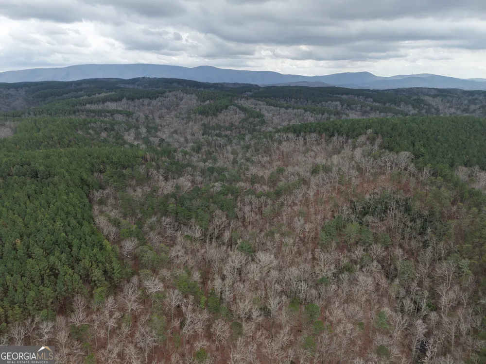 0 Johnson Mountain RD Rydal, GA 30171