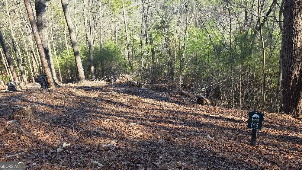 155 Rhondas WAY East Ellijay, GA 30540