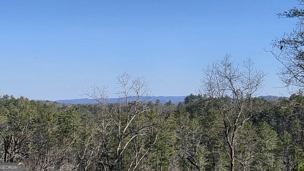155 Rhondas WAY East Ellijay, GA 30540