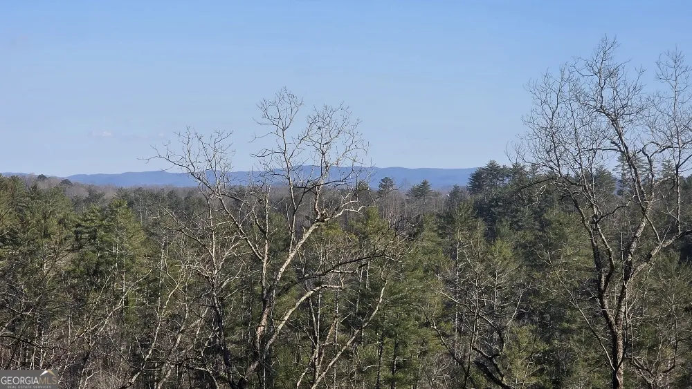155 Rhondas WAY East Ellijay, GA 30540