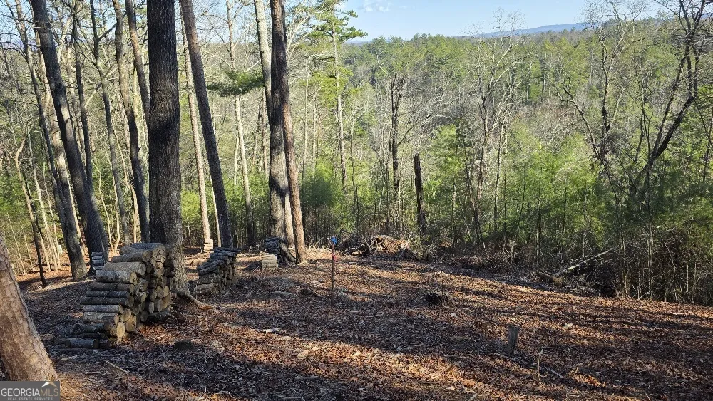 155 Rhondas WAY East Ellijay, GA 30540