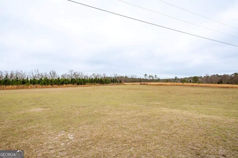 4697 Effie Sweat LN Waycross, GA 31503