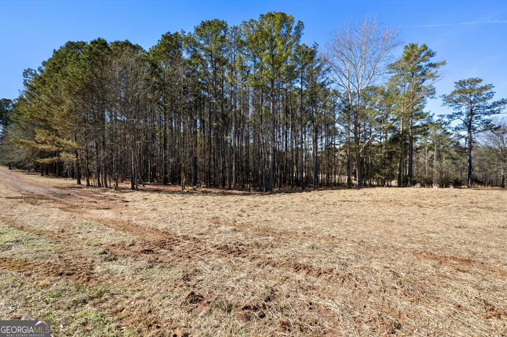 535 Laurelwood DR Tyrone, GA 30290