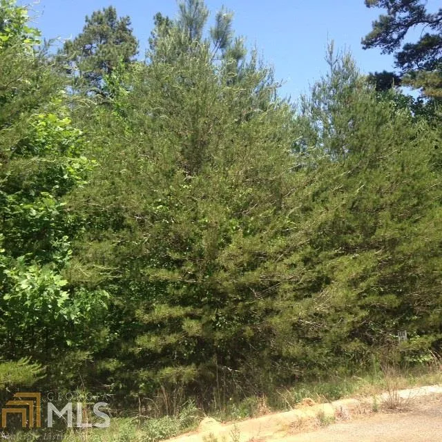 0 Seraph Pointe RD Lavonia, GA 30553