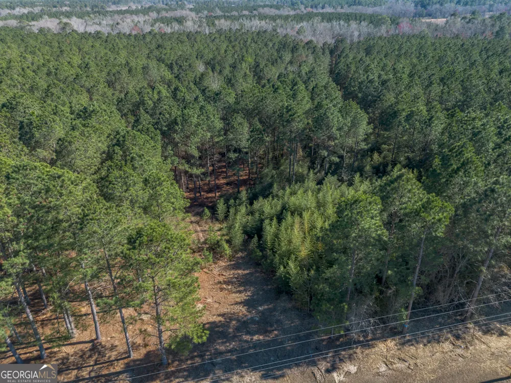 LOT 1 Ben Giddens RD Eastman, GA 31023