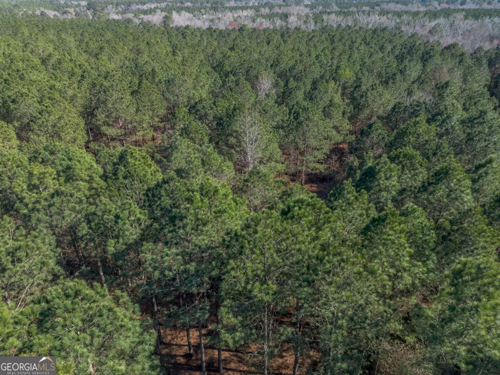 LOT 1 Ben Giddens RD Eastman, GA 31023