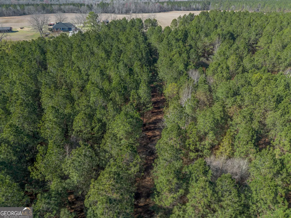 LOT 1 Ben Giddens RD Eastman, GA 31023