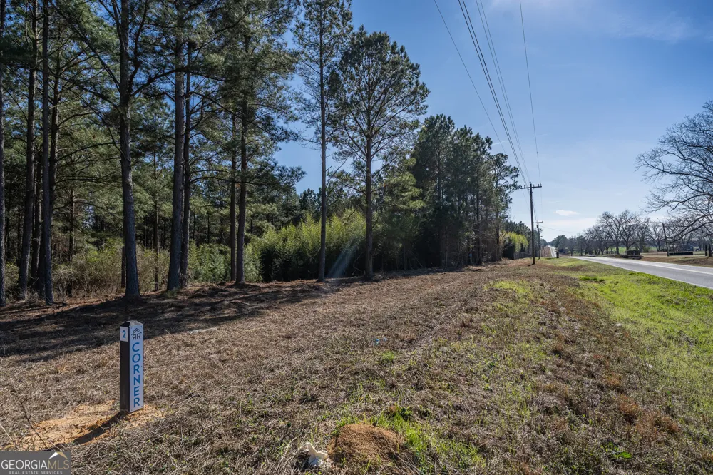 LOT 1 Ben Giddens RD Eastman, GA 31023