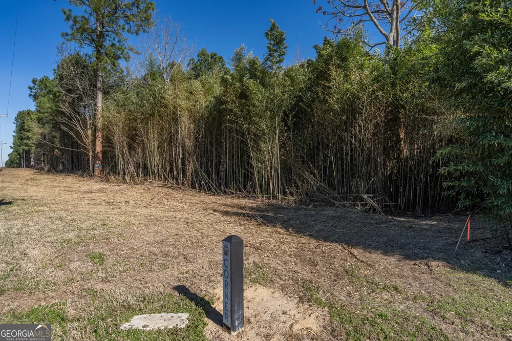LOT 1 Ben Giddens RD Eastman, GA 31023