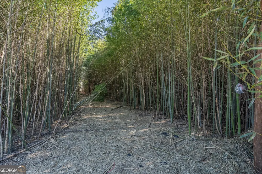 LOT 1 Ben Giddens RD Eastman, GA 31023