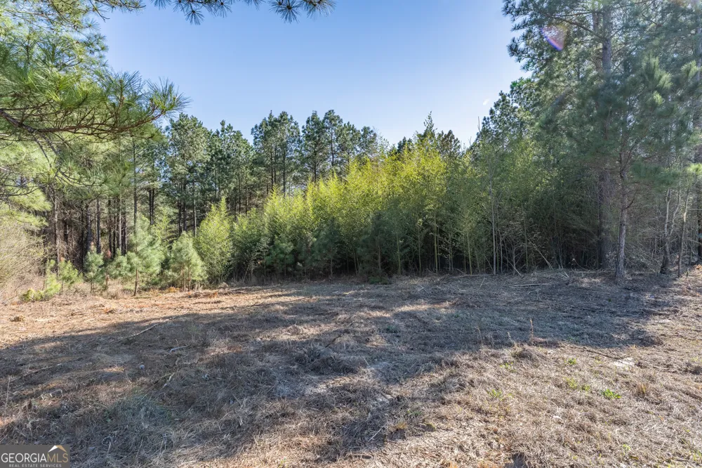 LOT 1 Ben Giddens RD Eastman, GA 31023