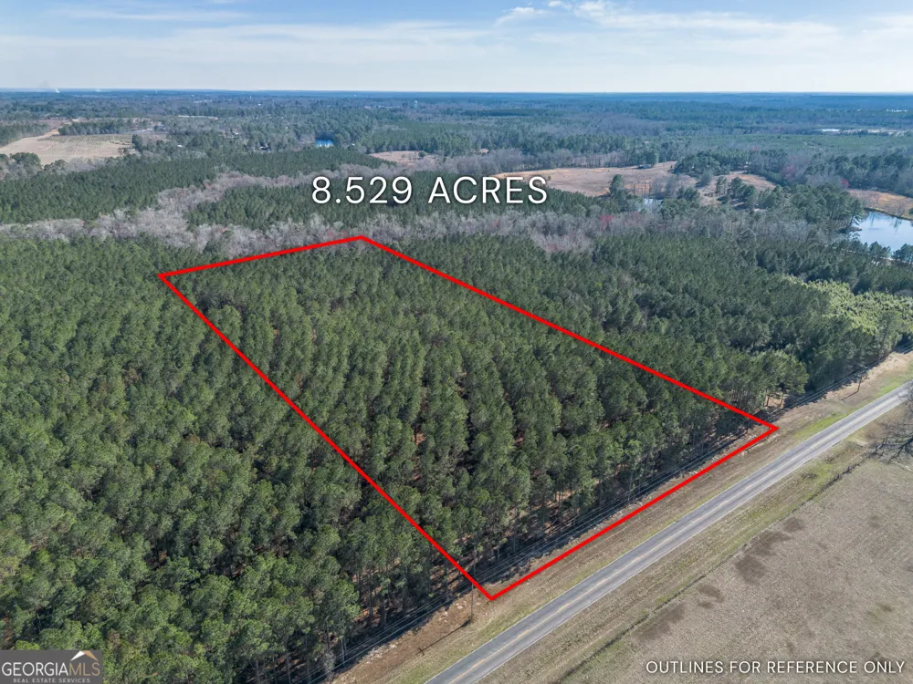LOT 2 Ben Giddens RD Eastman, GA 31023