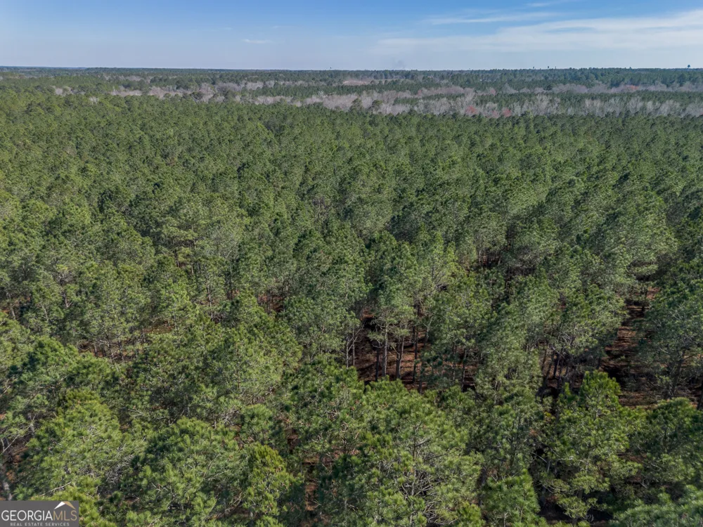LOT 2 Ben Giddens RD Eastman, GA 31023