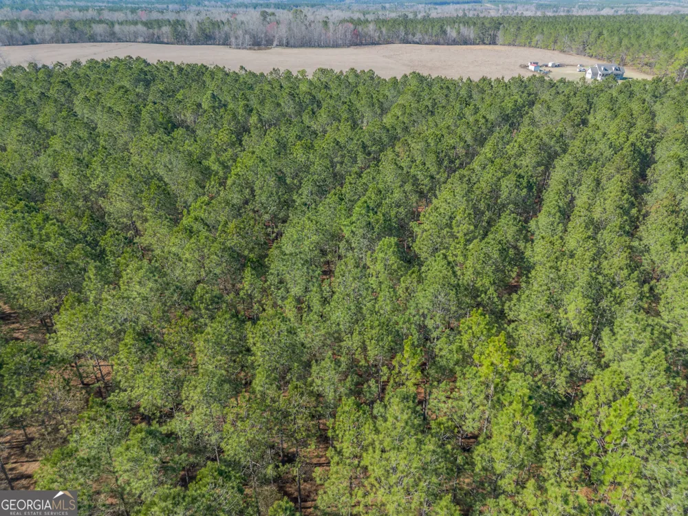 LOT 2 Ben Giddens RD Eastman, GA 31023