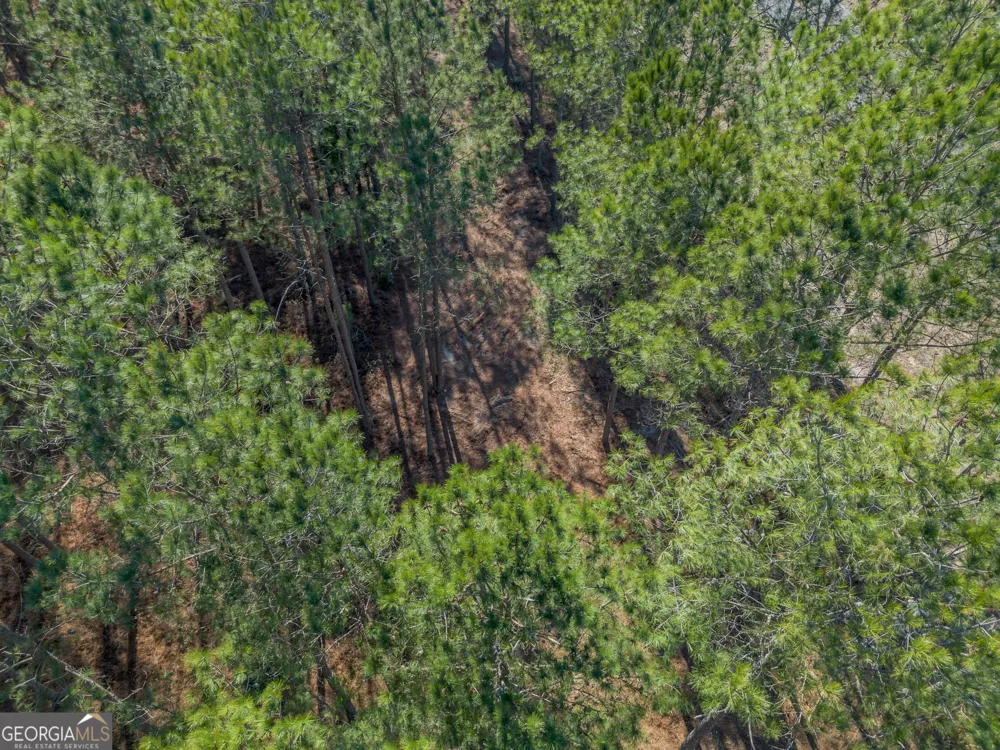 LOT 2 Ben Giddens RD Eastman, GA 31023